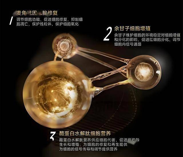 xm外汇平台怎样微芯片可揭示个体抗体与病毒的“战争”